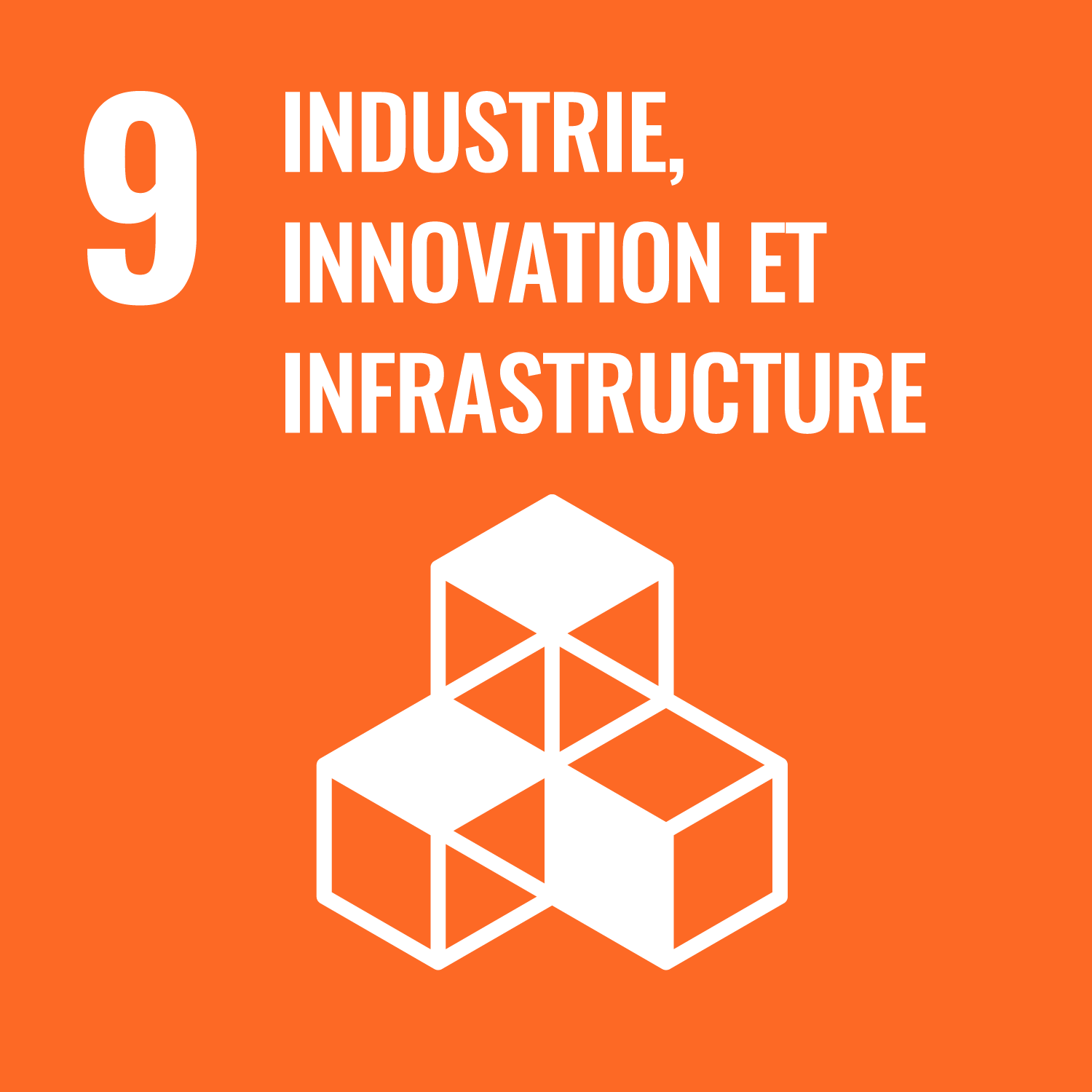 Objectif de Développement Durable de l'O.N.U. 9 : industrie, innovation et infrastructure