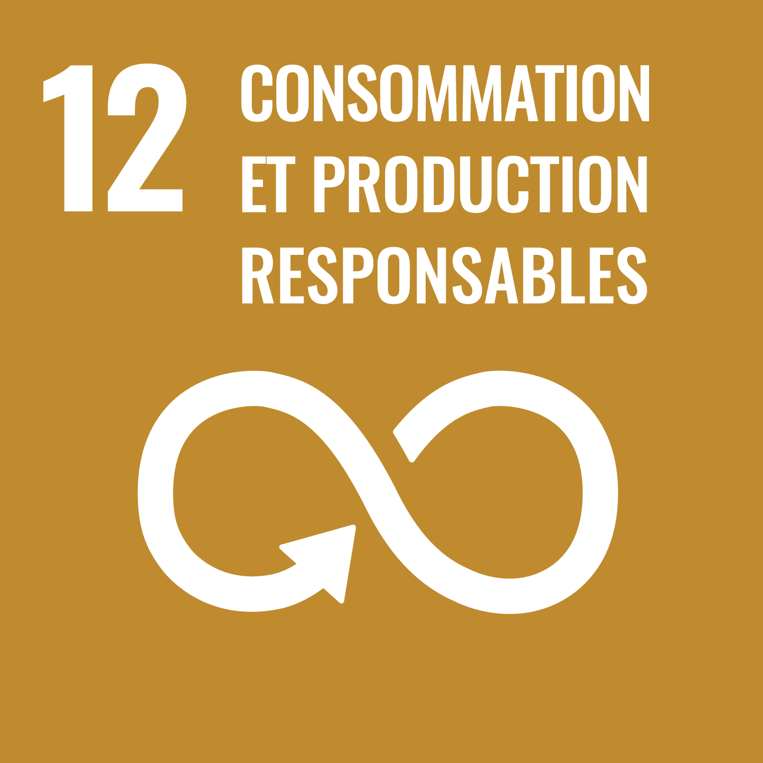 Objectif de Développement Durable de l'O.N.U. 12 : consommation et production responsables