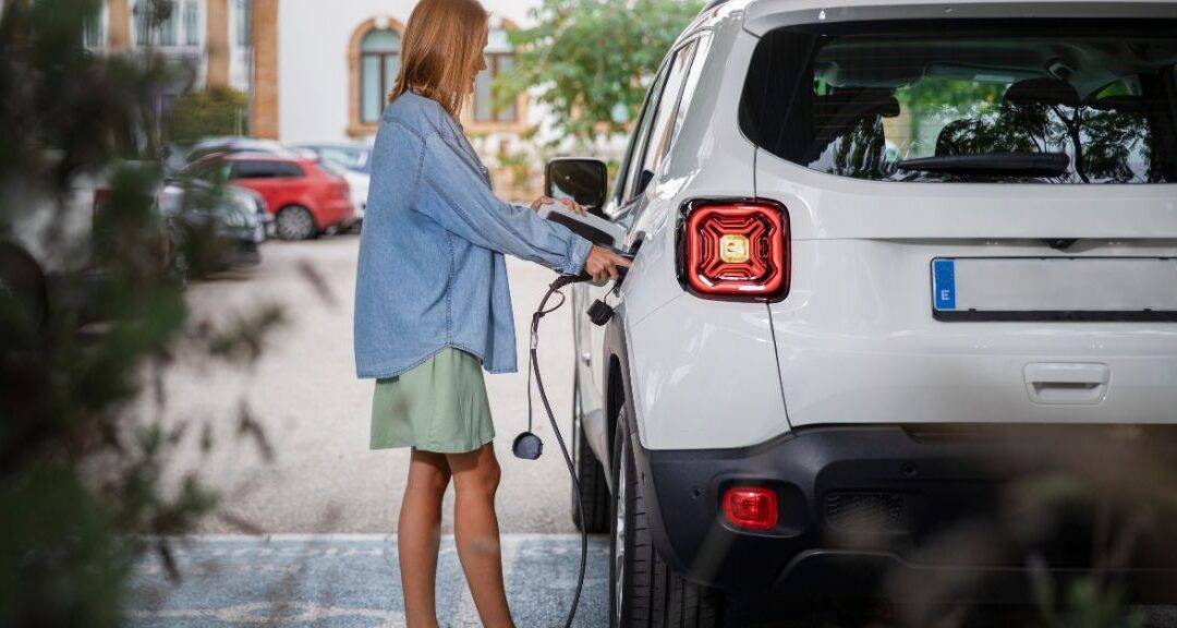 Gestion concertée sur la politique d’installation et de gestion des bornes électriques