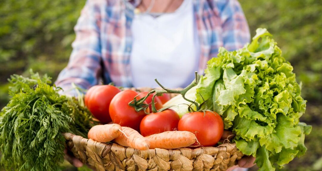 Promouvoir une politique alimentaire saine et locale