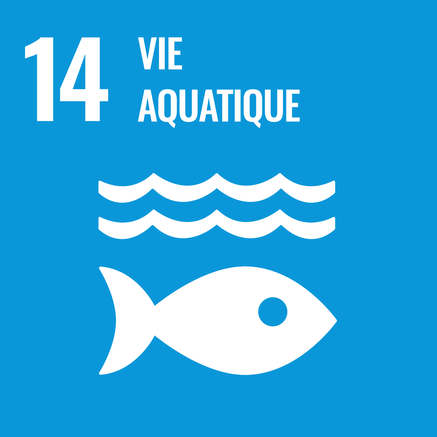 Objectif de Développement Durable de l'O.N.U. 14 : vie aquatique