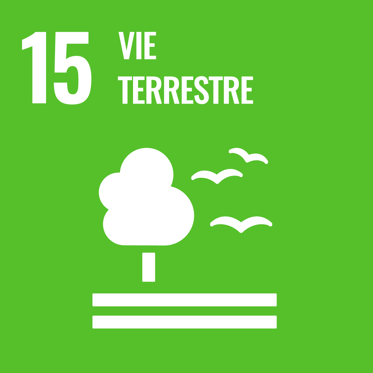 Objectif de Développement Durable de l'O.N.U. 15 : vie terrestre