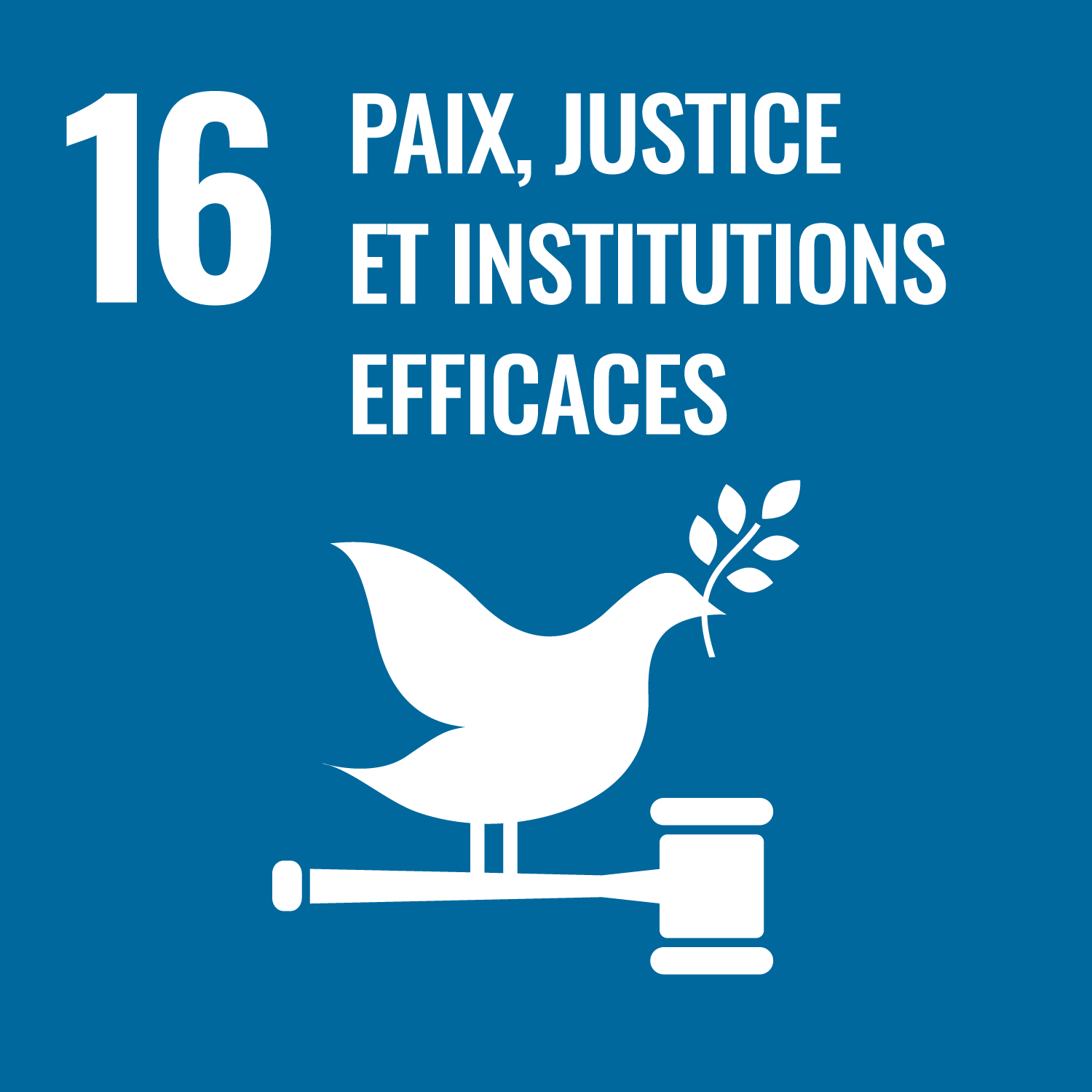 Objectif de Développement Durable de l'O.N.U. 16 : paix, justice et institutions efficaces