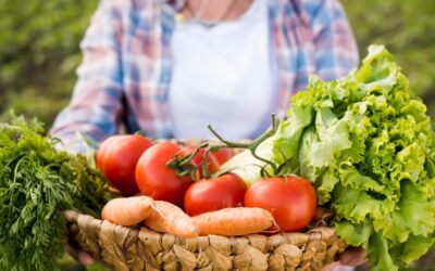 Promouvoir une politique alimentaire saine et locale